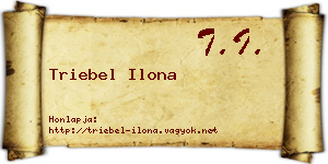 Triebel Ilona névjegykártya