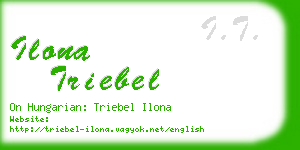 ilona triebel business card
